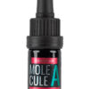 Molecule A - Carefree Youthful Uplifting Pheromone Oil - 5mL Bottle