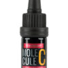 Molecule C - Social, Feed Good, Sensual Pheromone Oil 5mL Bottle